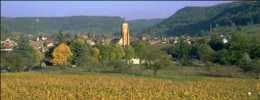 Arbois - Vins du Jura